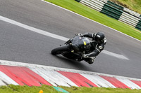 Middle Group Black Bikes